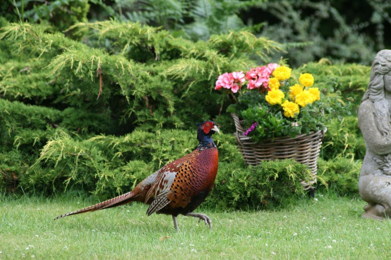 Arrandale House Hotel Pitlochry Luaran gambar